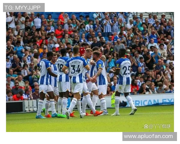 布伦特福德主场迎战莱斯特城期待精彩对决与激烈竞争