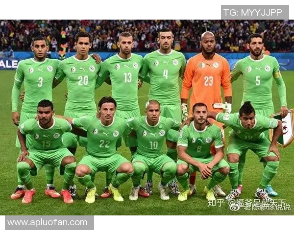 韩国与塞内加尔激战正酣精彩瞬间回顾与分析