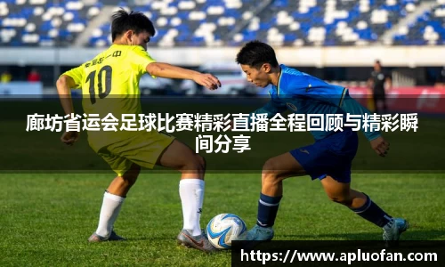 廊坊省运会足球比赛精彩直播全程回顾与精彩瞬间分享
