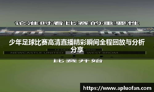 jinnianhui金年会
