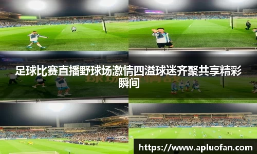 足球比赛直播野球场激情四溢球迷齐聚共享精彩瞬间